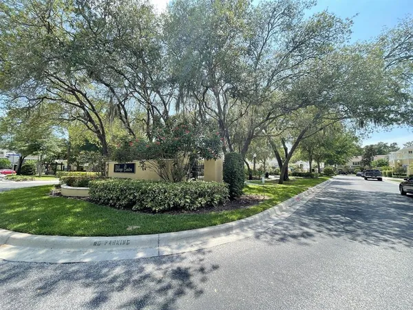 a view of the garden