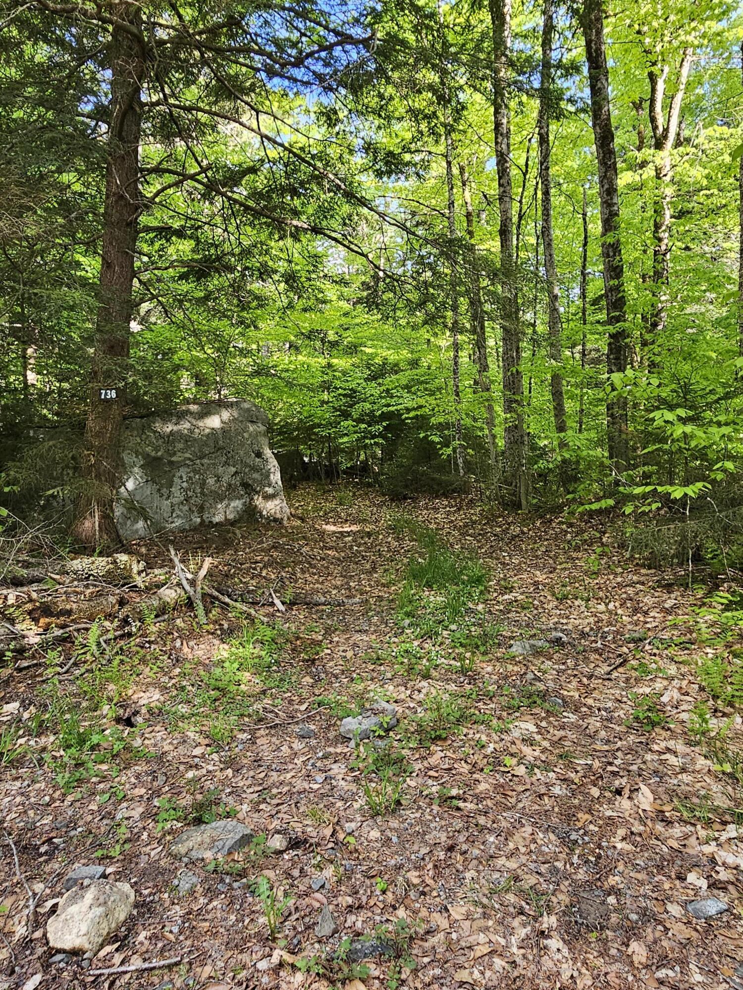 736 Bartlett Carry Road Tupper Lake, NY 12986 - Photo 13 of 17