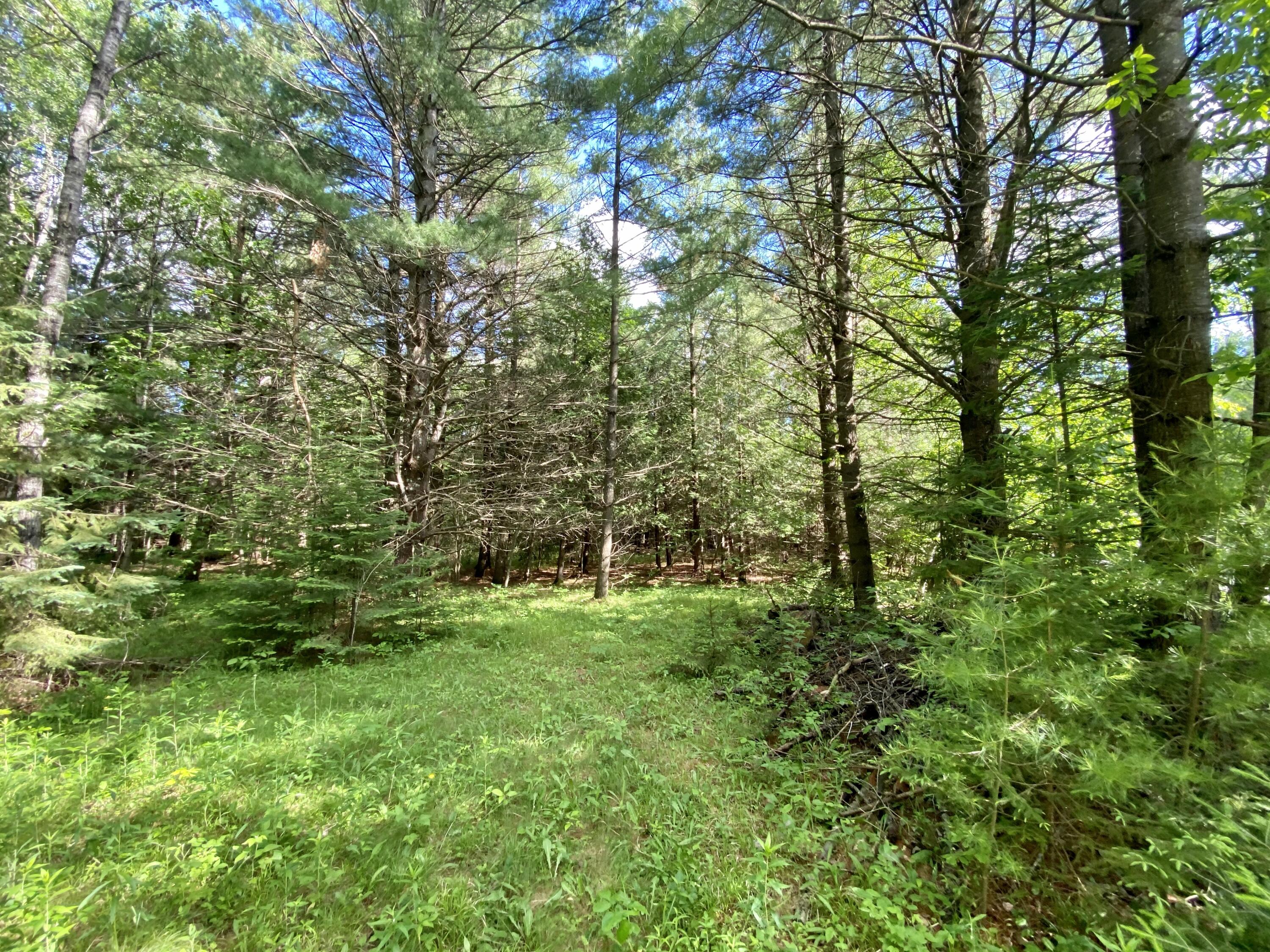 1.68-ac Peterson Road Wausaukee, WI 54177 - Photo 1 of 1 Photo Jun 21, 4 51 08 PM