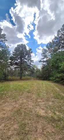 a view of yard and ocean