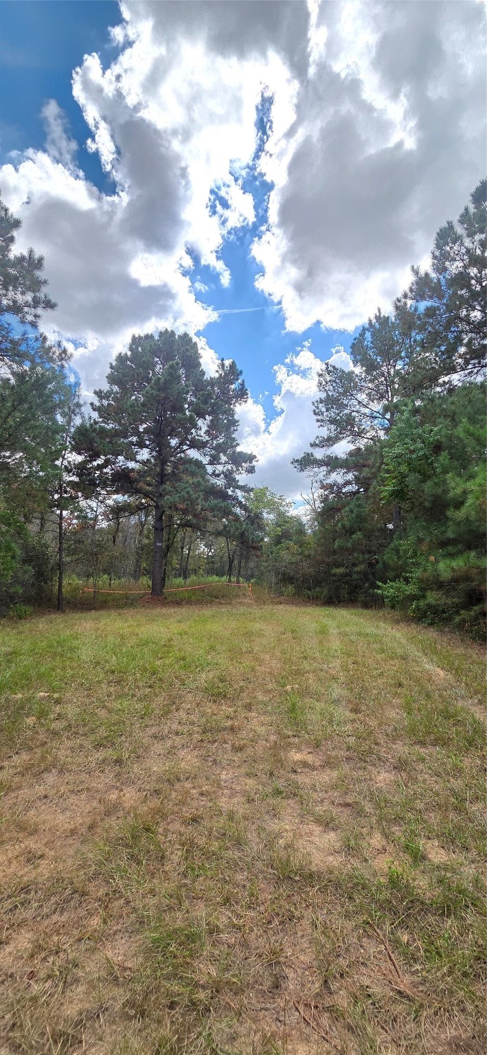 a view of yard and ocean