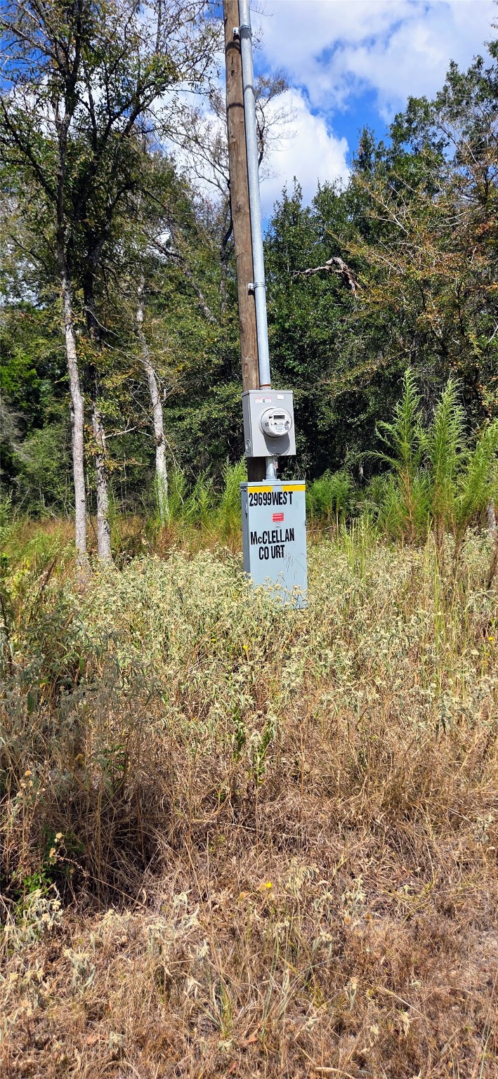 29699 Mcclellan Court West Hempstead, TX 77445 - Photo 11 of 18 a view of a yard with plants