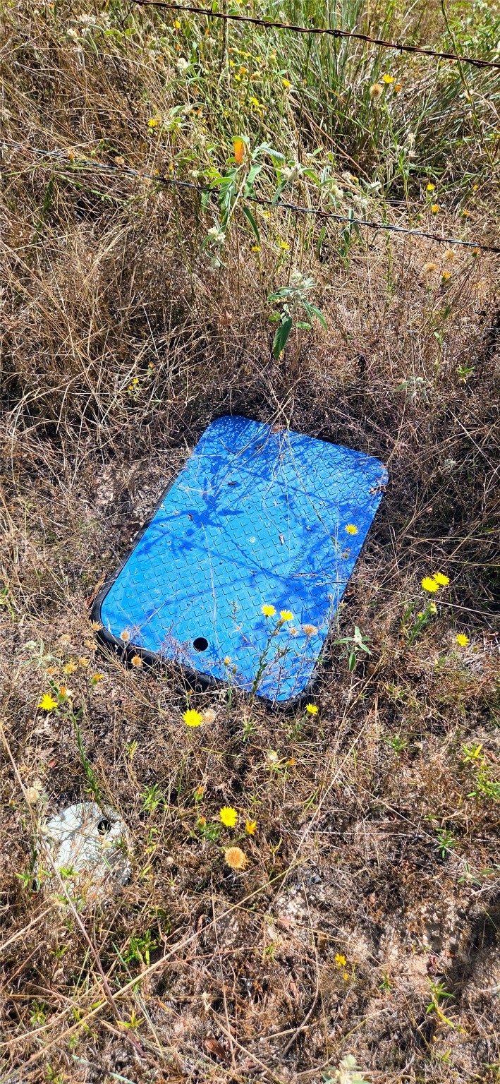 29699 Mcclellan Court West Hempstead, TX 77445 - Photo 12 of 18 a view of a tree in a backyard