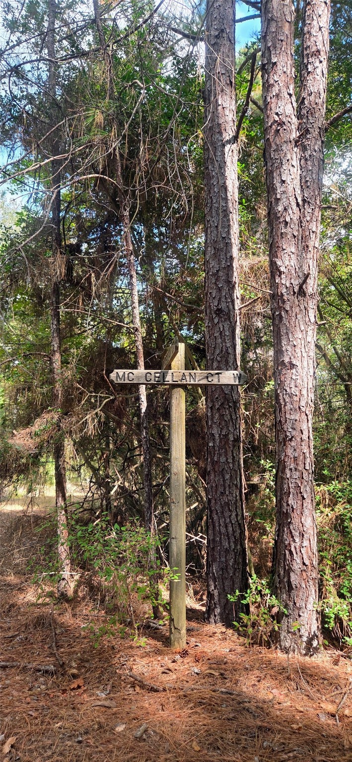 29699 Mcclellan Court West Hempstead, TX 77445 - Photo 13 of 18