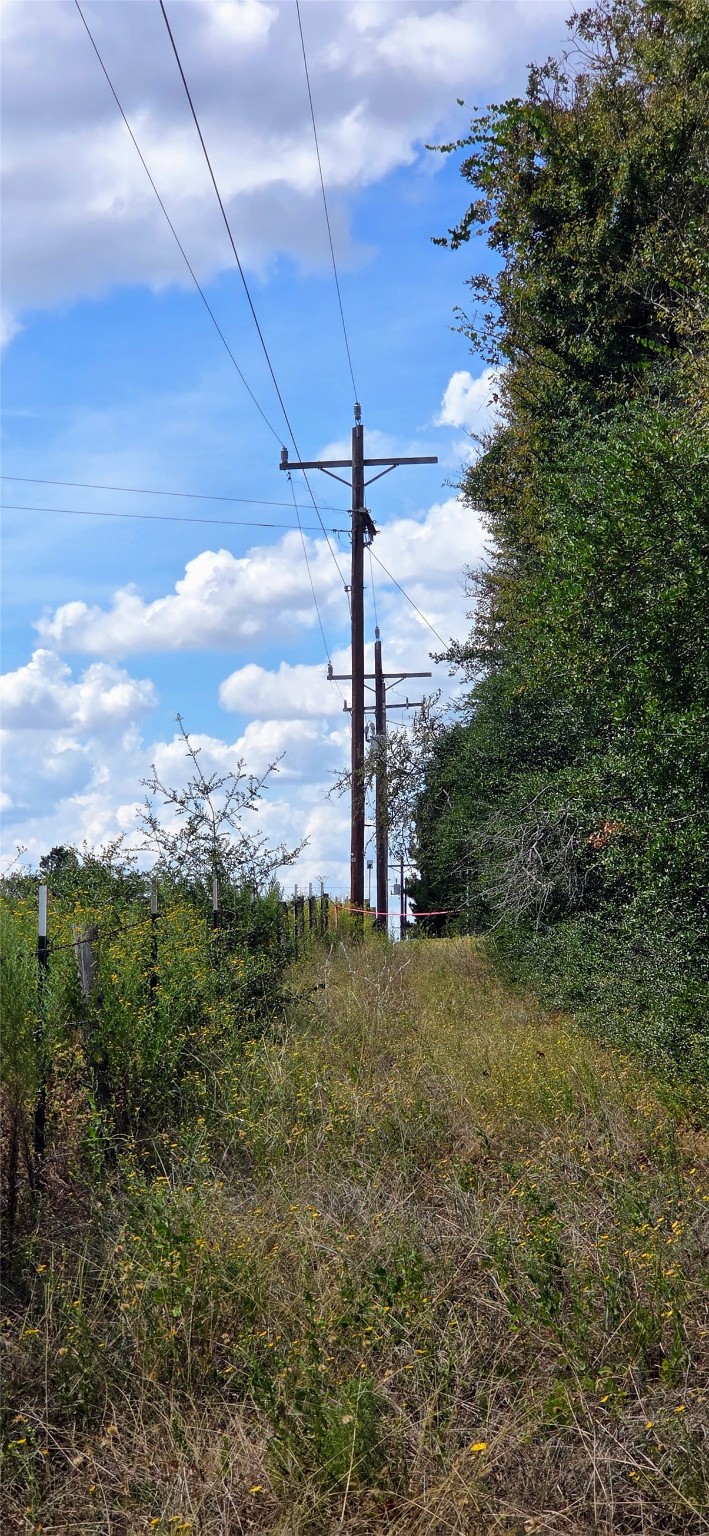 29699 Mcclellan Court West Hempstead, TX 77445 - Photo 15 of 18 a view of a yard with an outdoor space