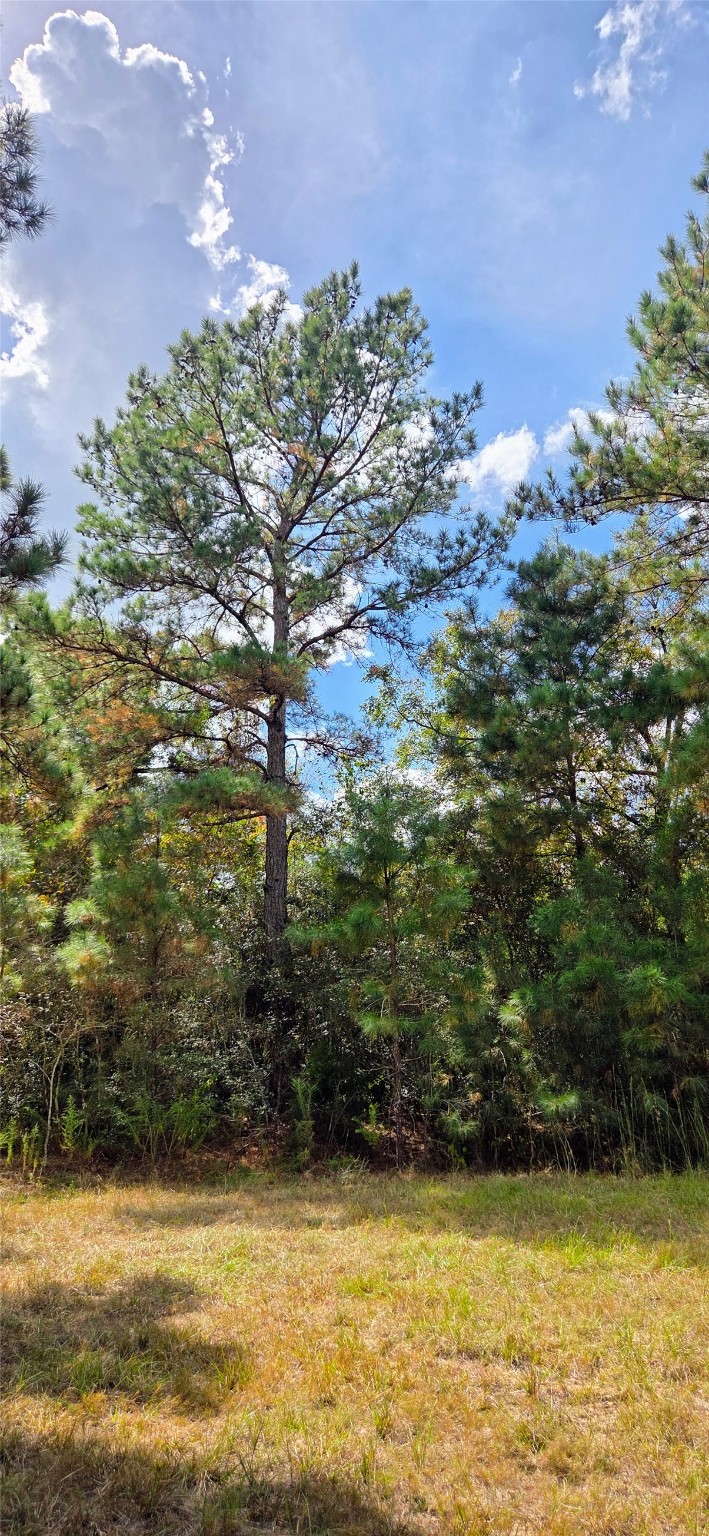 29699 Mcclellan Court West Hempstead, TX 77445 - Photo 2 of 18 a view of a large body of water with a building in the background