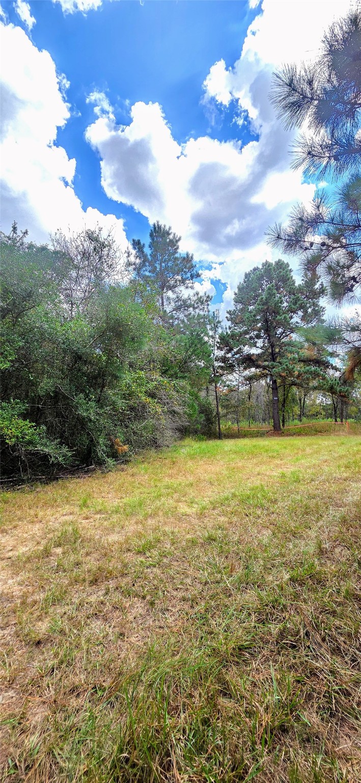 29699 Mcclellan Court West Hempstead, TX 77445 - Photo 3 of 18 a view of an ocean view