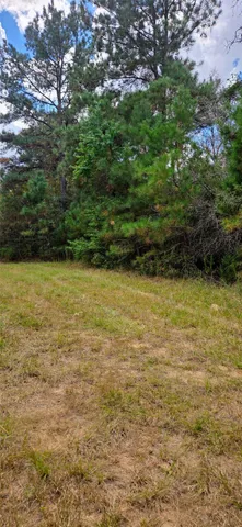 a backyard of a building with large trees