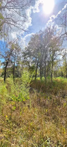a backyard of a house with lots of trees