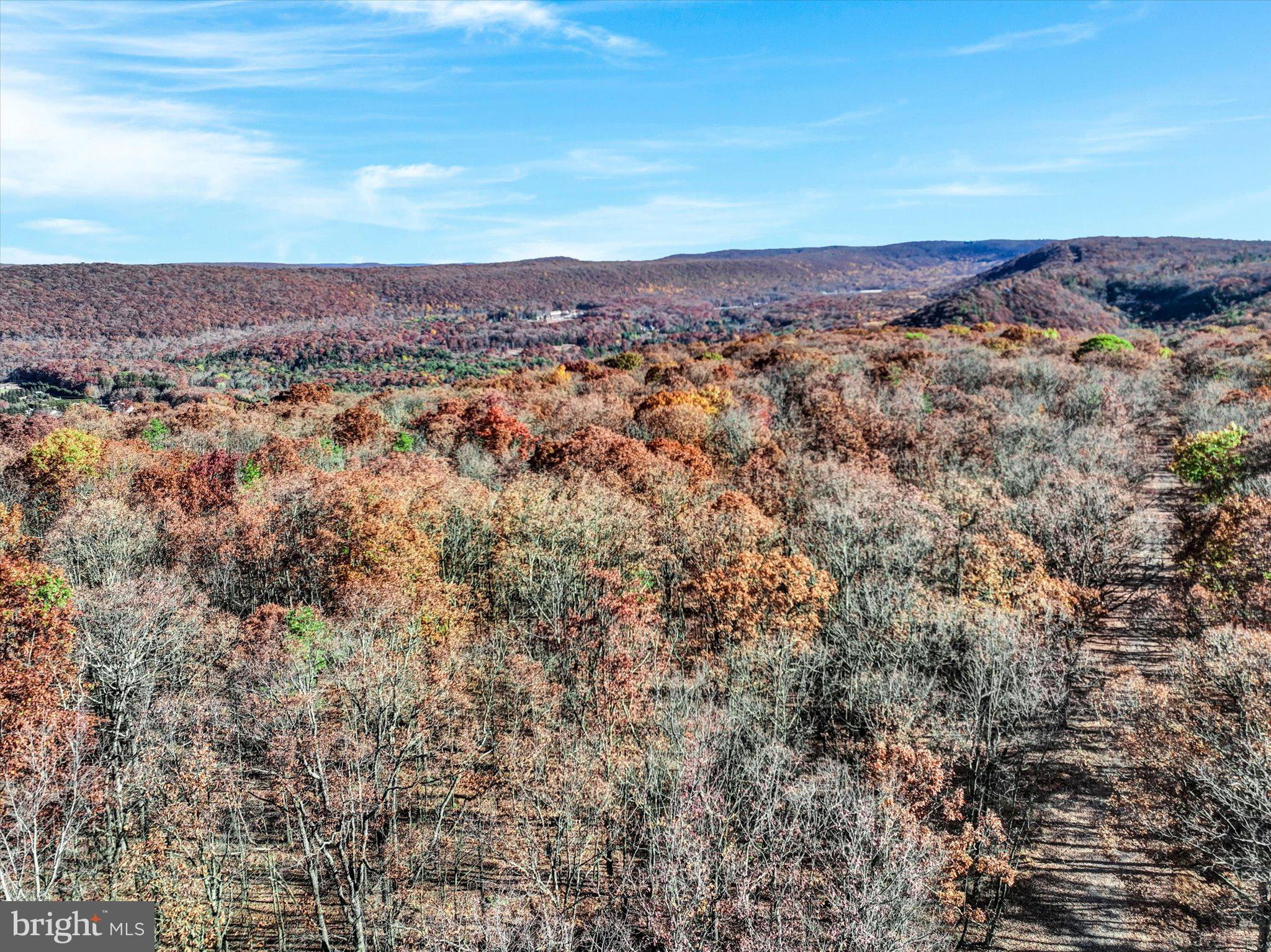 521 Hay Stack Drive Zion Grove, PA 17985 - Photo 4 of 21 an aerial view of residential house and green space