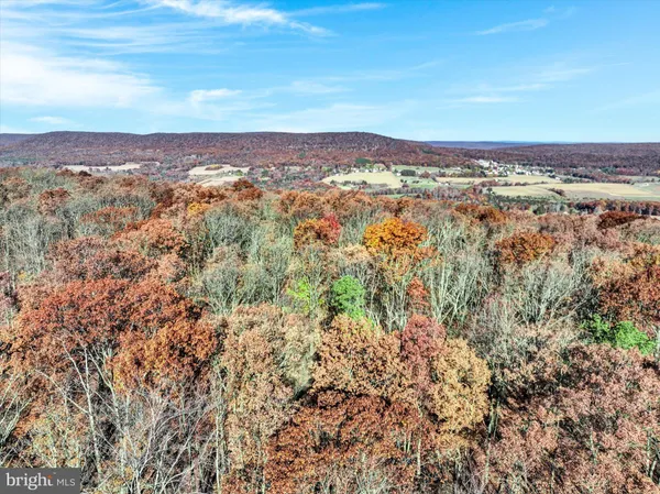 a view of city and mountain
