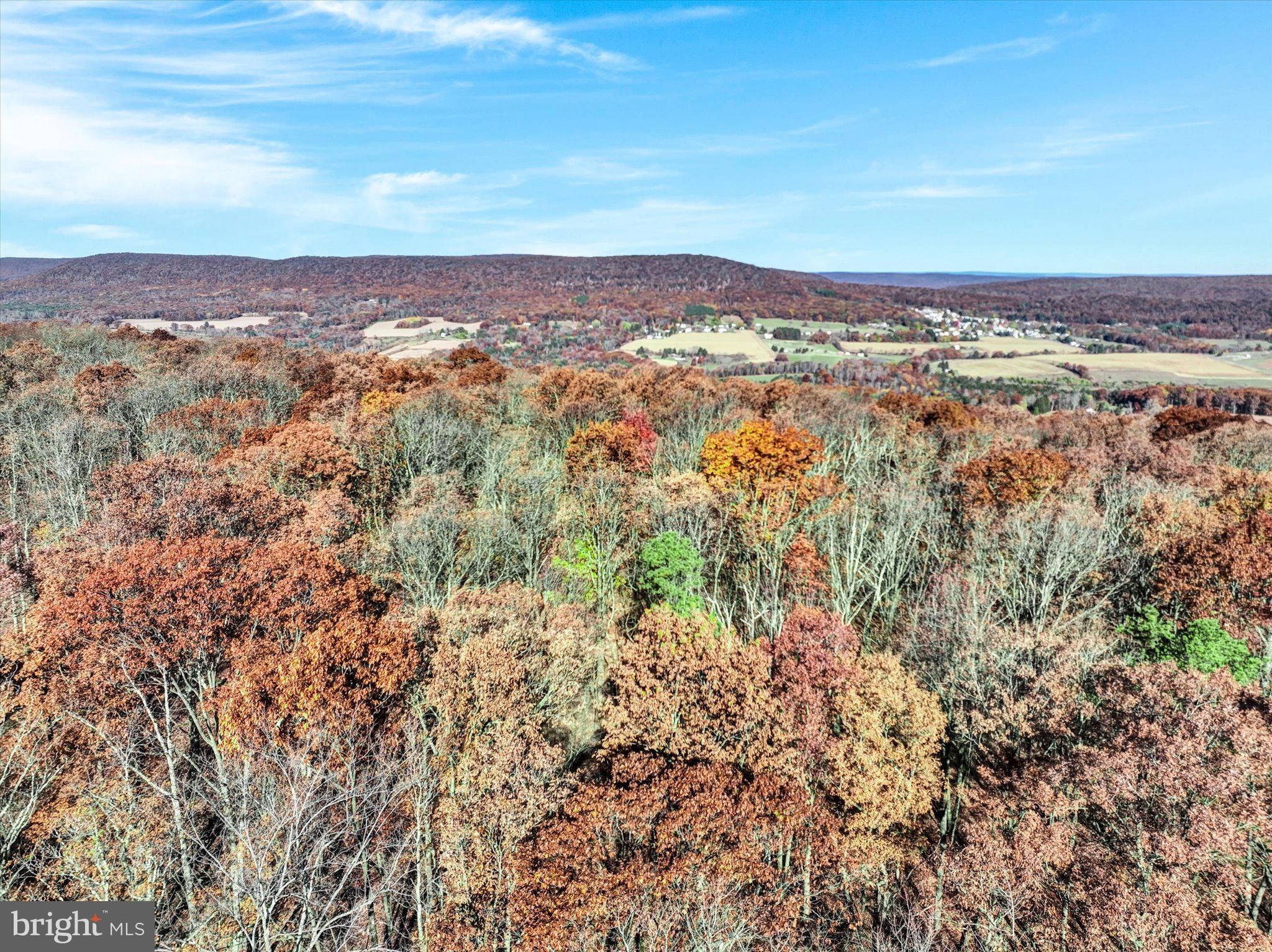 521 Hay Stack Drive Zion Grove, PA 17985 - Photo 5 of 21 a view of city and mountain