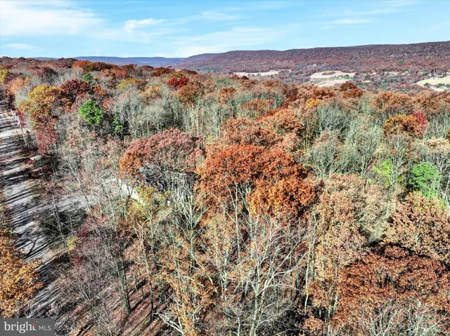 an aerial view of residential houses with outdoor space and trees