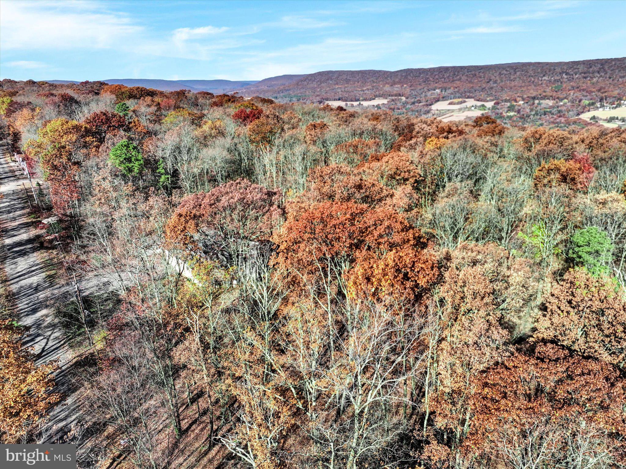 521 Hay Stack Drive Zion Grove, PA 17985 - Photo 6 of 21 an aerial view of residential houses with outdoor space and trees