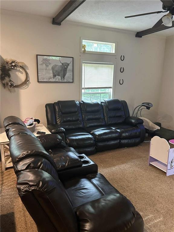 2477 Shoal Creek Road Colbert, GA 30628 - Photo 4 of 19 a living room with furniture