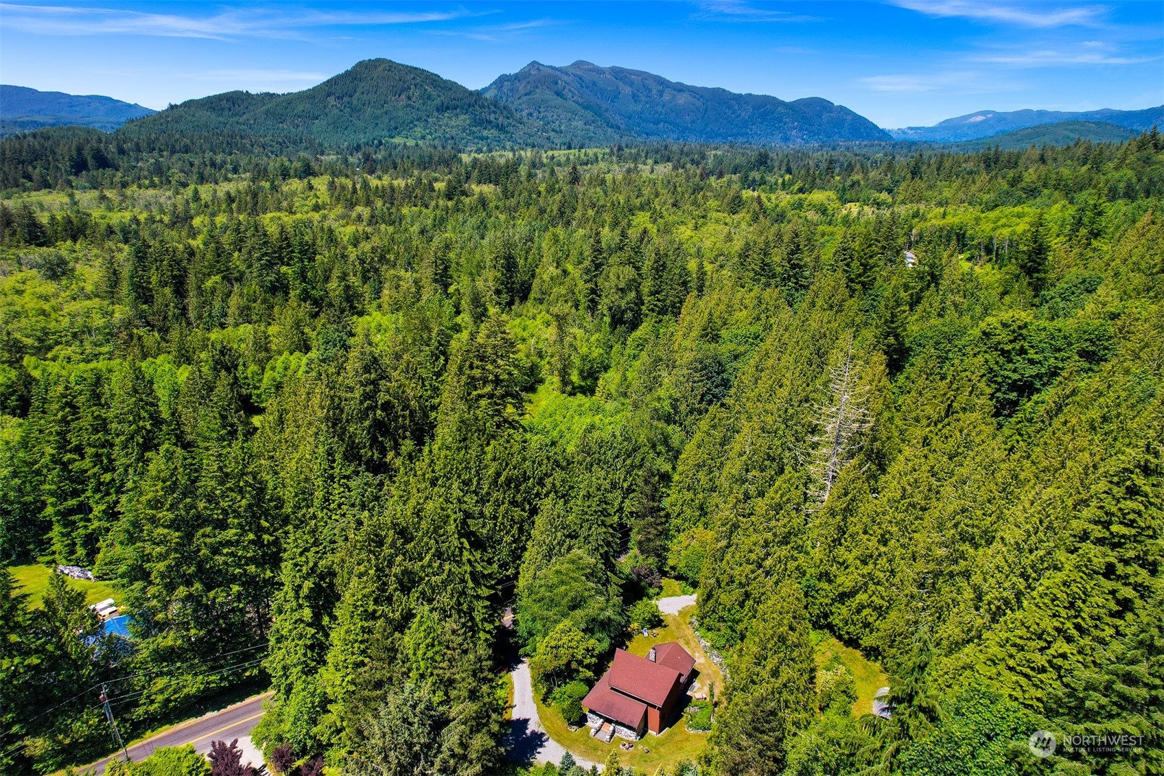 2125 Butler Creek Road Sedro-Woolley, WA 98284 - Photo 29 of 40 a view of a forest with a mountain