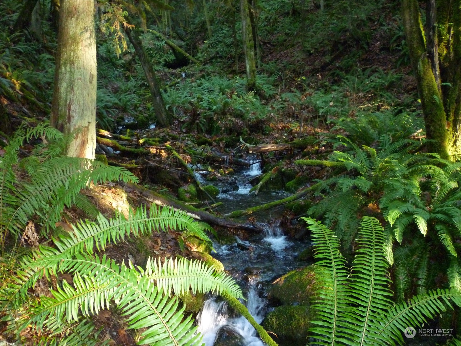 2125 Butler Creek Road Sedro-Woolley, WA 98284 - Photo 35 of 40