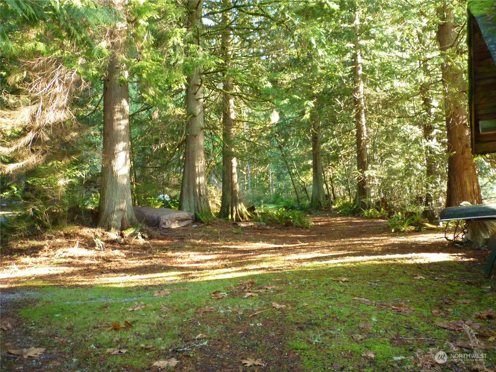 2125 Butler Creek Road Sedro-Woolley, WA 98284 - Photo 36 of 40 a view of a yard with a tree