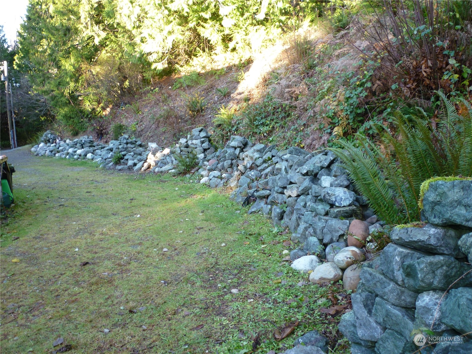 2125 Butler Creek Road Sedro-Woolley, WA 98284 - Photo 37 of 40 a view of a lush green forest