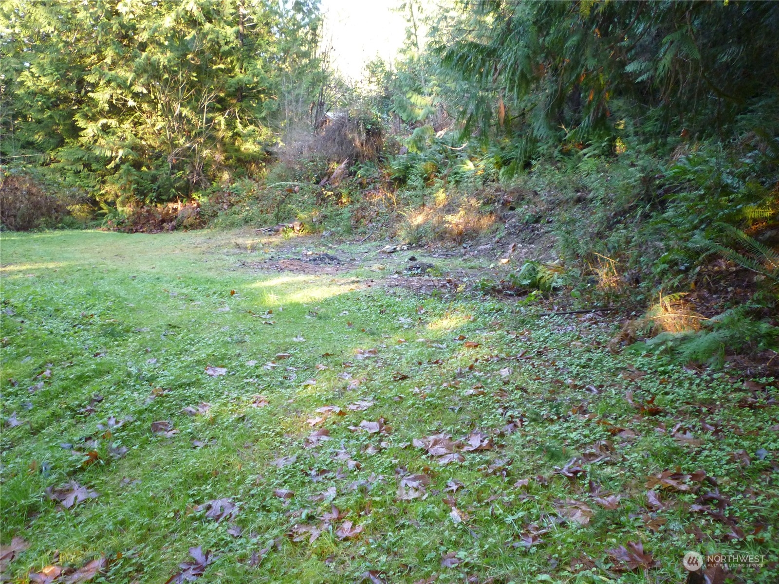 2125 Butler Creek Road Sedro-Woolley, WA 98284 - Photo 38 of 40 a view of a lush green space