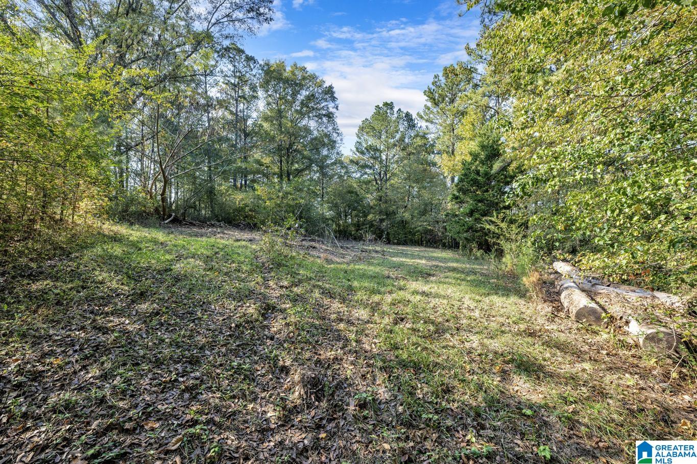 5882 Kilgore Church Road Dora, AL 35062 - Photo 25 of 26