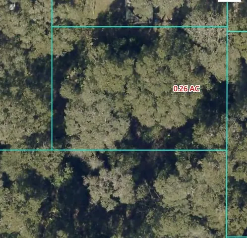 a bird view of a house and a yard