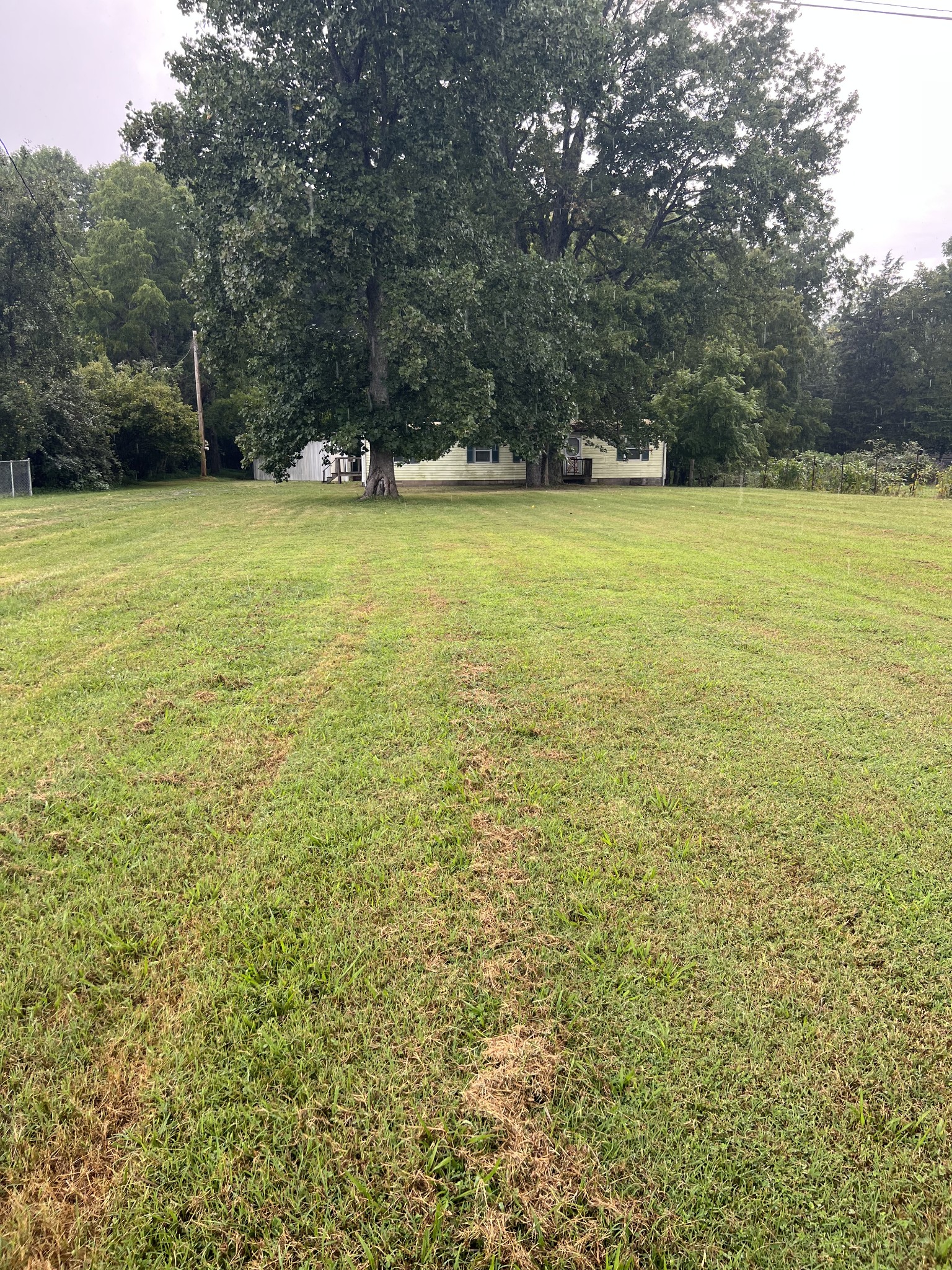 458 Boiling Springs Road Portland, TN 37148 - Photo 1 of 1 a view of a swimming pool and trees in the background