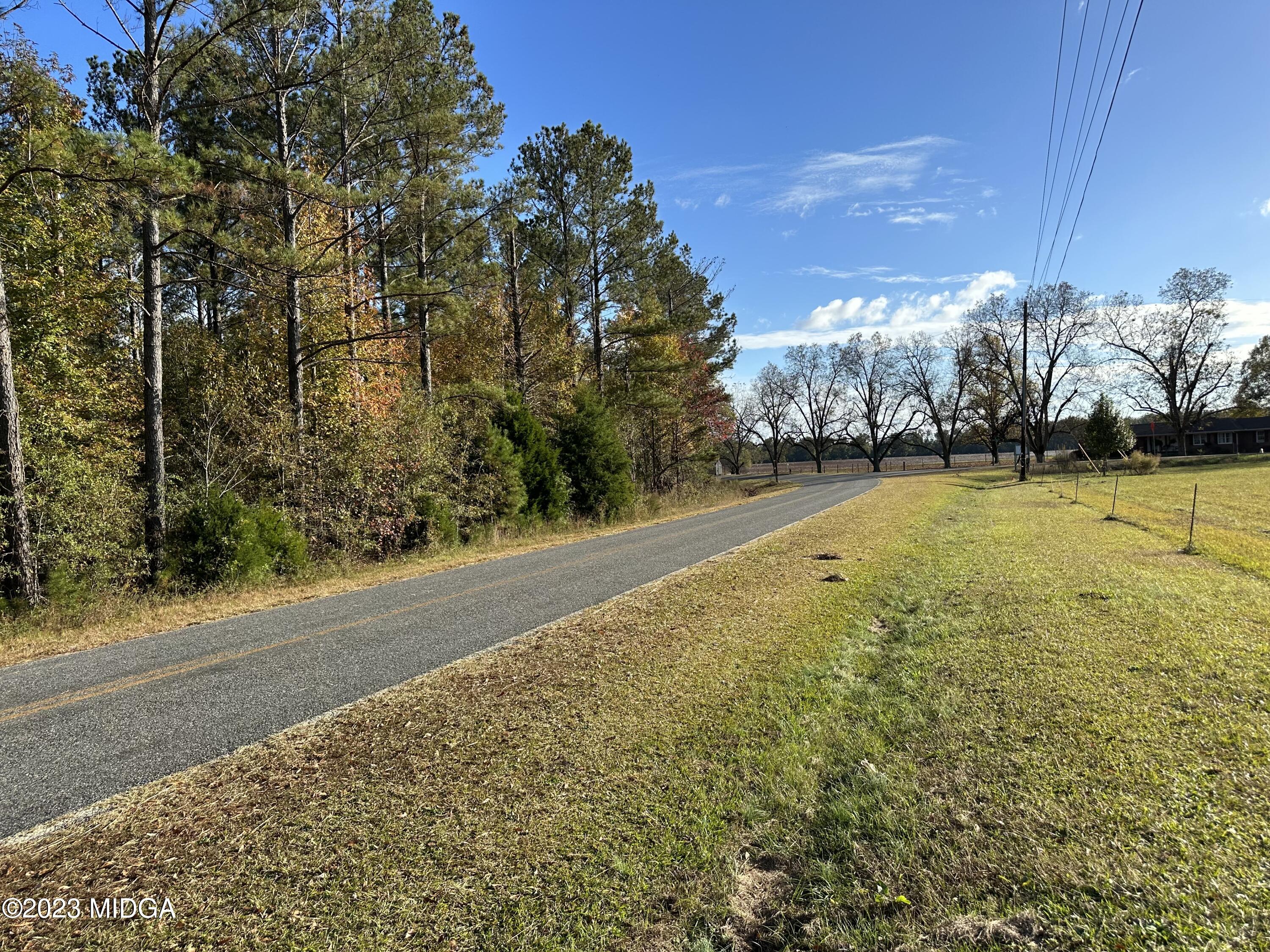 0 West Wesley Chapel Road Fort Valley, GA 31030 - Photo 4 of 15 a view of back yard of the house