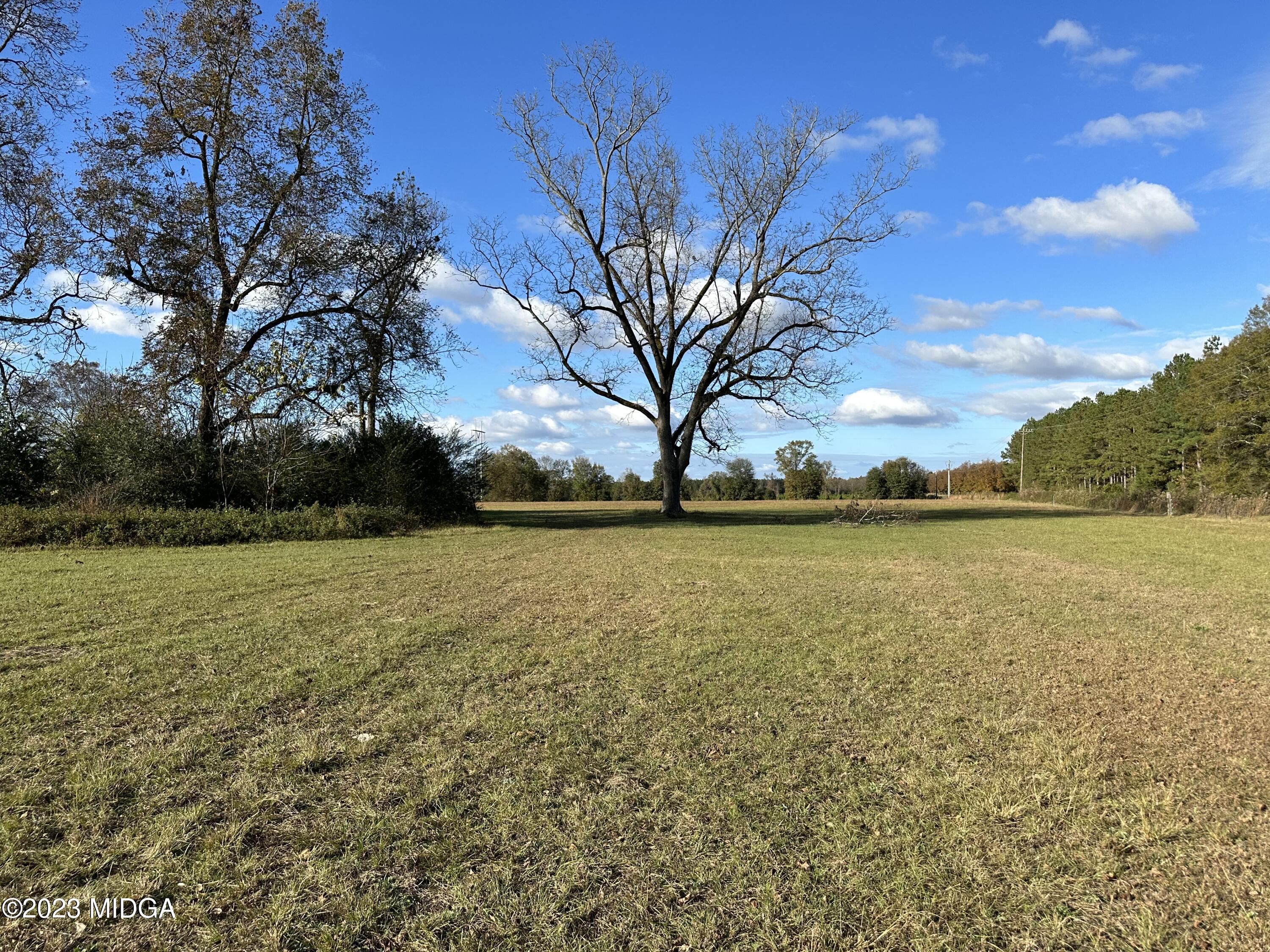 0 West Wesley Chapel Road Fort Valley, GA 31030 - Photo 5 of 15 a view of lake view