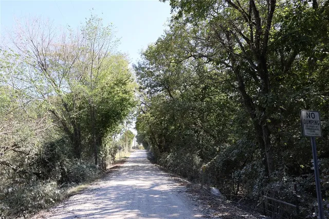 a view of a yard with plants and trees