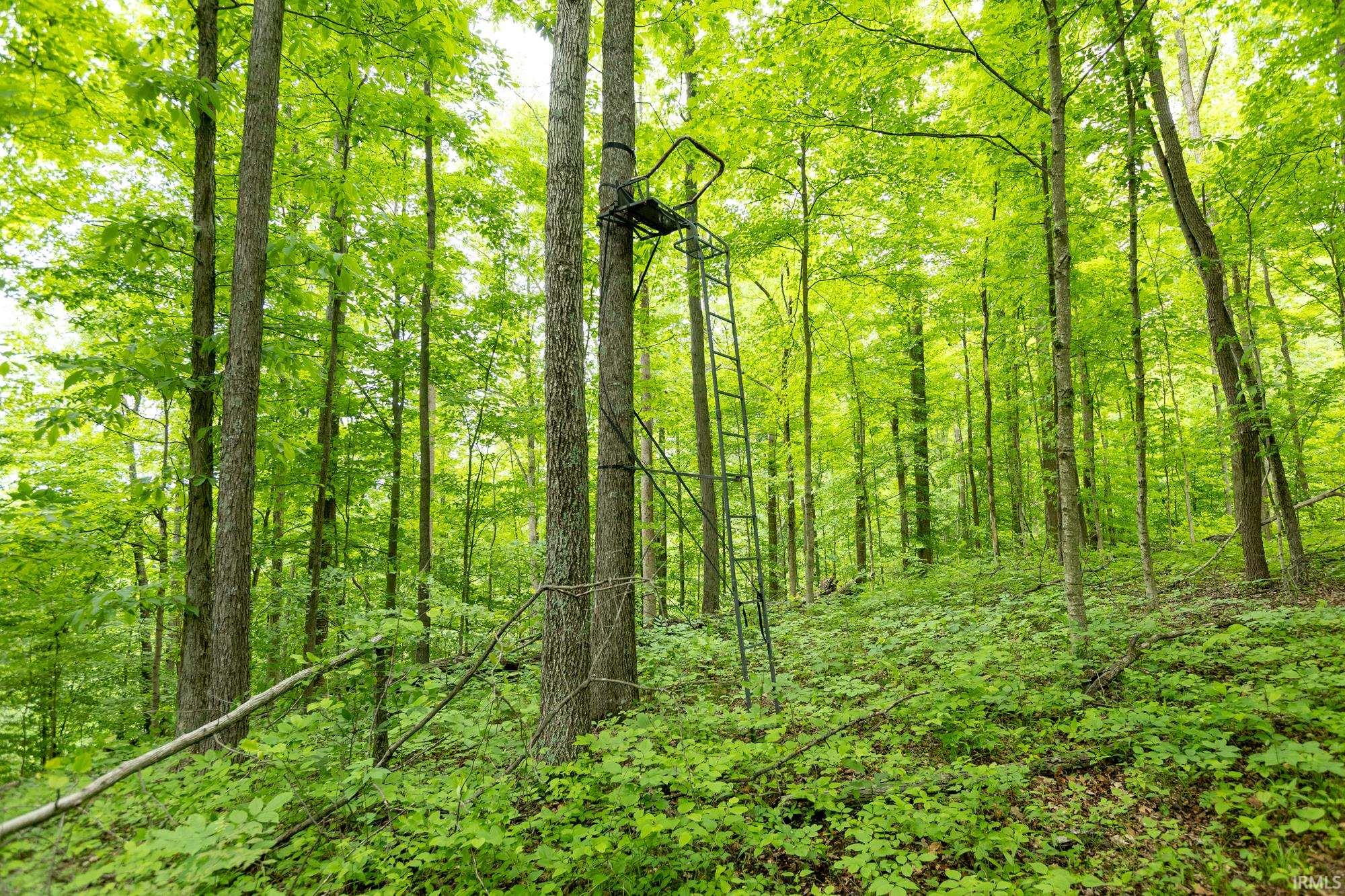 874 North Corwin Road Bloomfield, IN 47424 - Photo 19 of 36