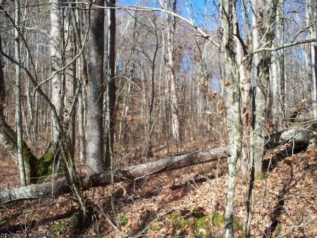 9 Joseph Chapel Road Belington, WV 26250 - Photo 1 of 18 Gallery Image 1
