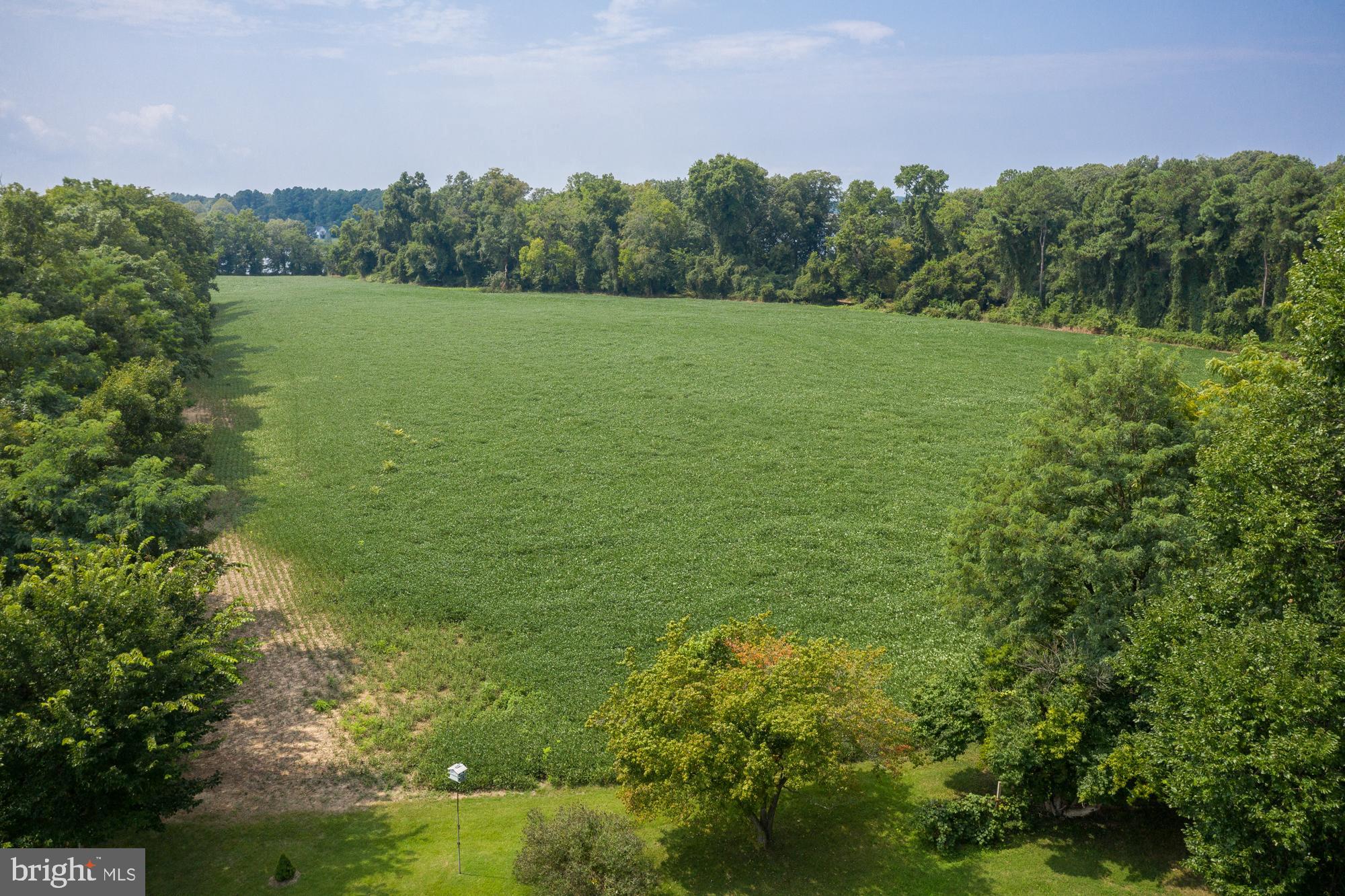23050 Colonel Leonard Road Rock Hall, MD 21661 - Photo 29 of 35 Gallery Image 29
