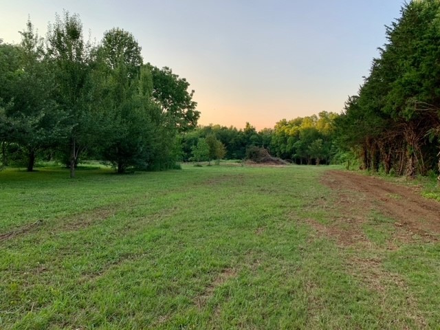 a view of a grassy field with trees