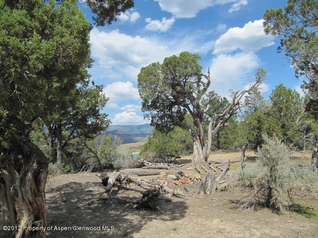 Lot 3 County Road 237 Rifle, CO 81650 - Photo 4 of 5 a view of a yard with plants and trees