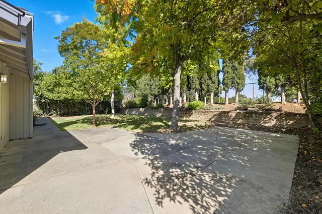 a view of a park with large trees