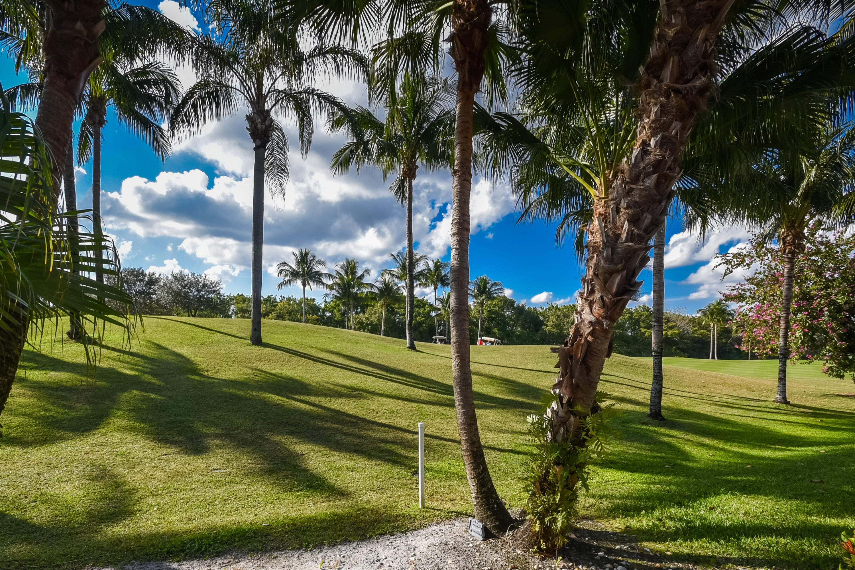 4153 Northwest 53rd Street Boca Raton, FL 33496 - Photo 33 of 56 View2