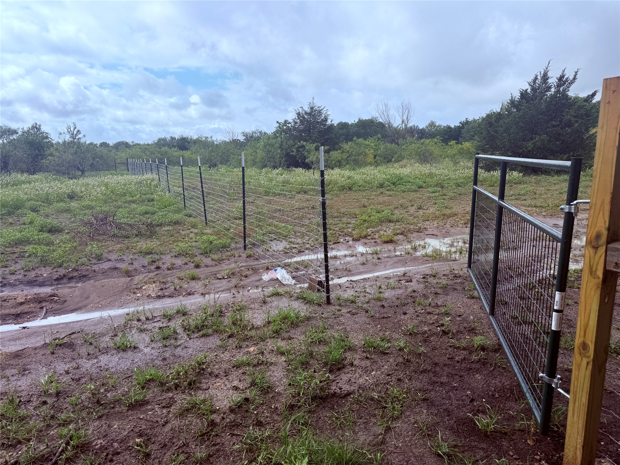 0 Engelke Road Kyle, TX 78640 - Photo 14 of 16 Secure new fencing defines the boundaries of this verdant, undeveloped acreage.