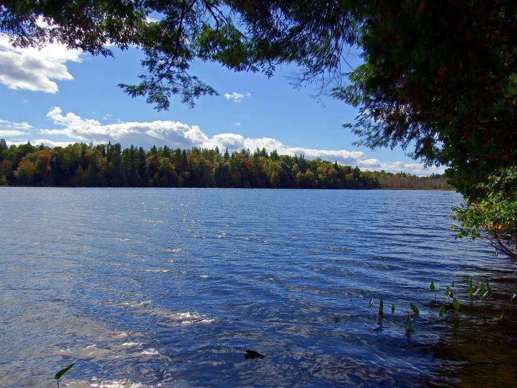 0 Currie Road Oakfield, ME 04763 - Photo 15 of 23 Photo