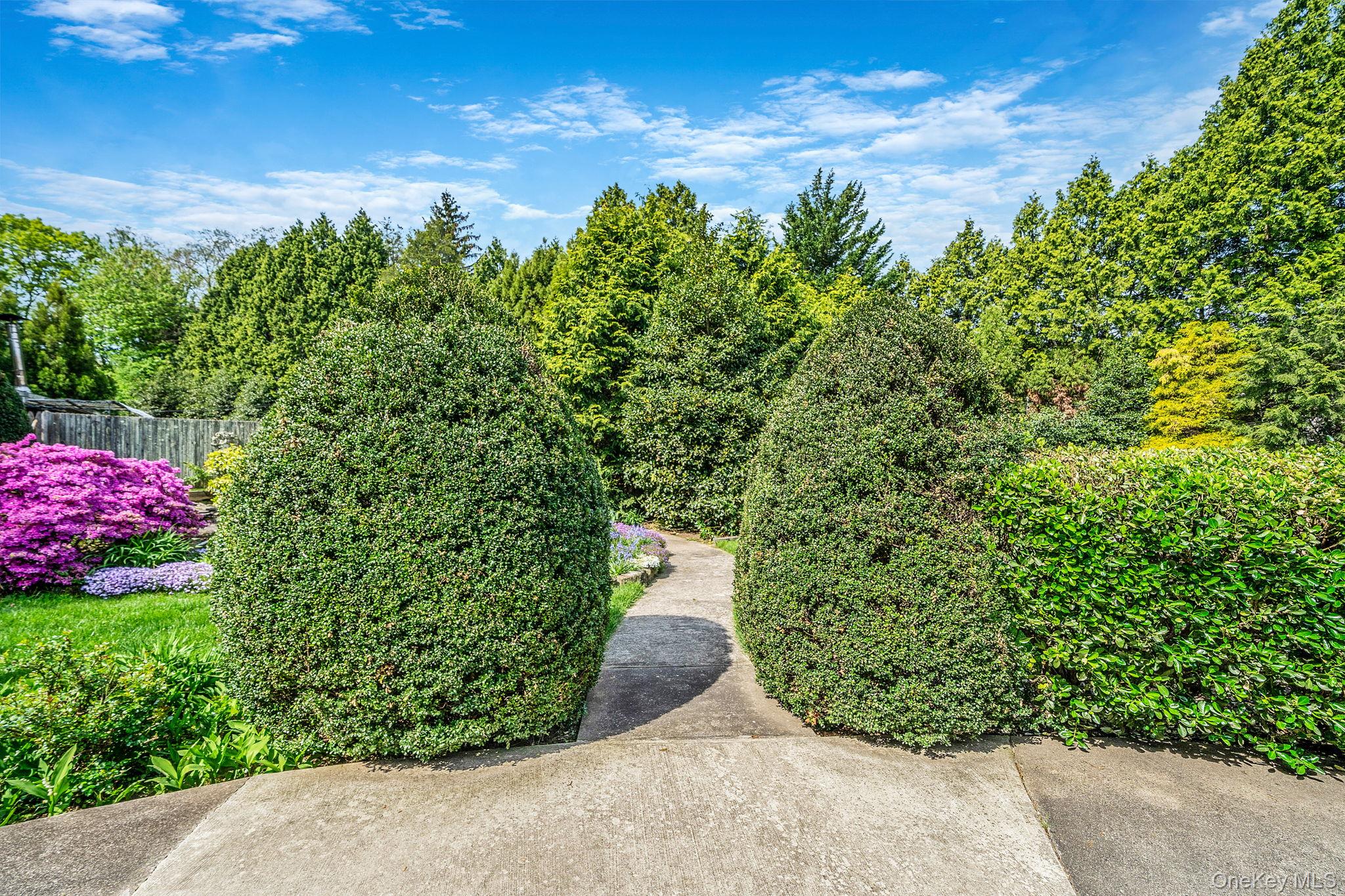 280 Deforest Road North Dix Hills, NY 11746 - Photo 12 of 37 a picture of a yard with a tree
