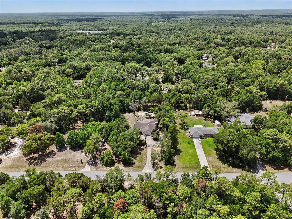 20250 Southwest 93rd Lane Road Dunnellon, FL 34431 - Photo 46 of 49