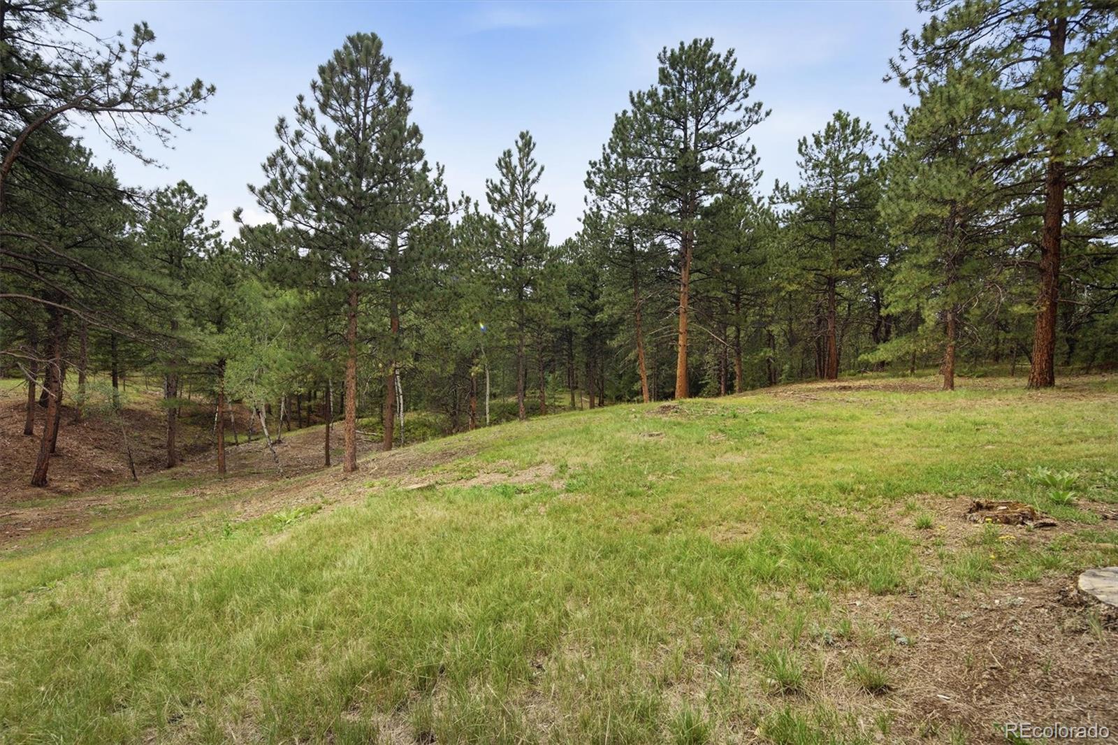 34066 Ranchero Road Evergreen, CO 80439 - Photo 43 of 48 Gallery Image 43