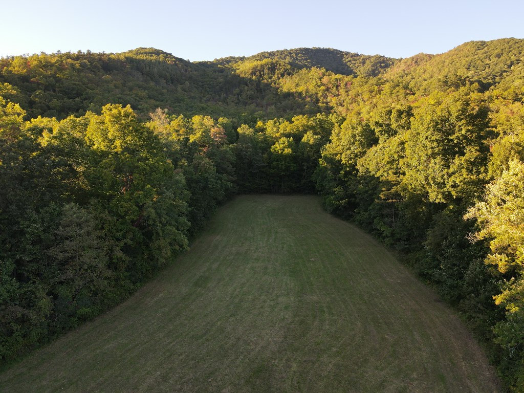 999 Ledbetter Road Robbinsville, NC 28771 - Photo 11 of 27