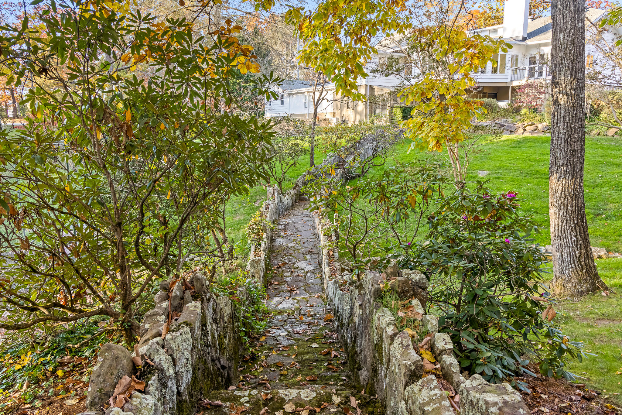 136 Signal Point Road Signal Mountain, TN 37377 - Photo 59 of 64 Back Yard