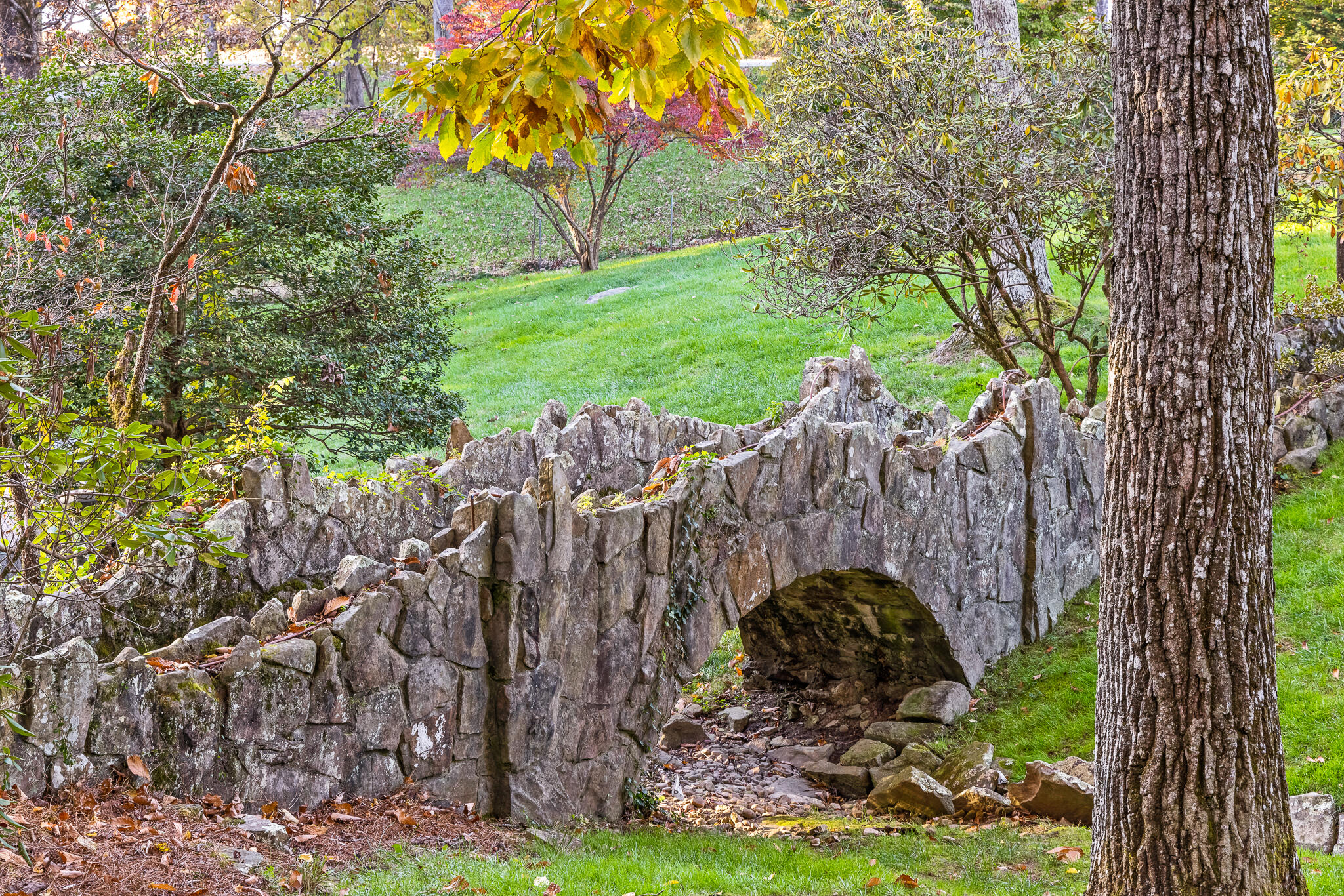 136 Signal Point Road Signal Mountain, TN 37377 - Photo 61 of 64 Back Yard