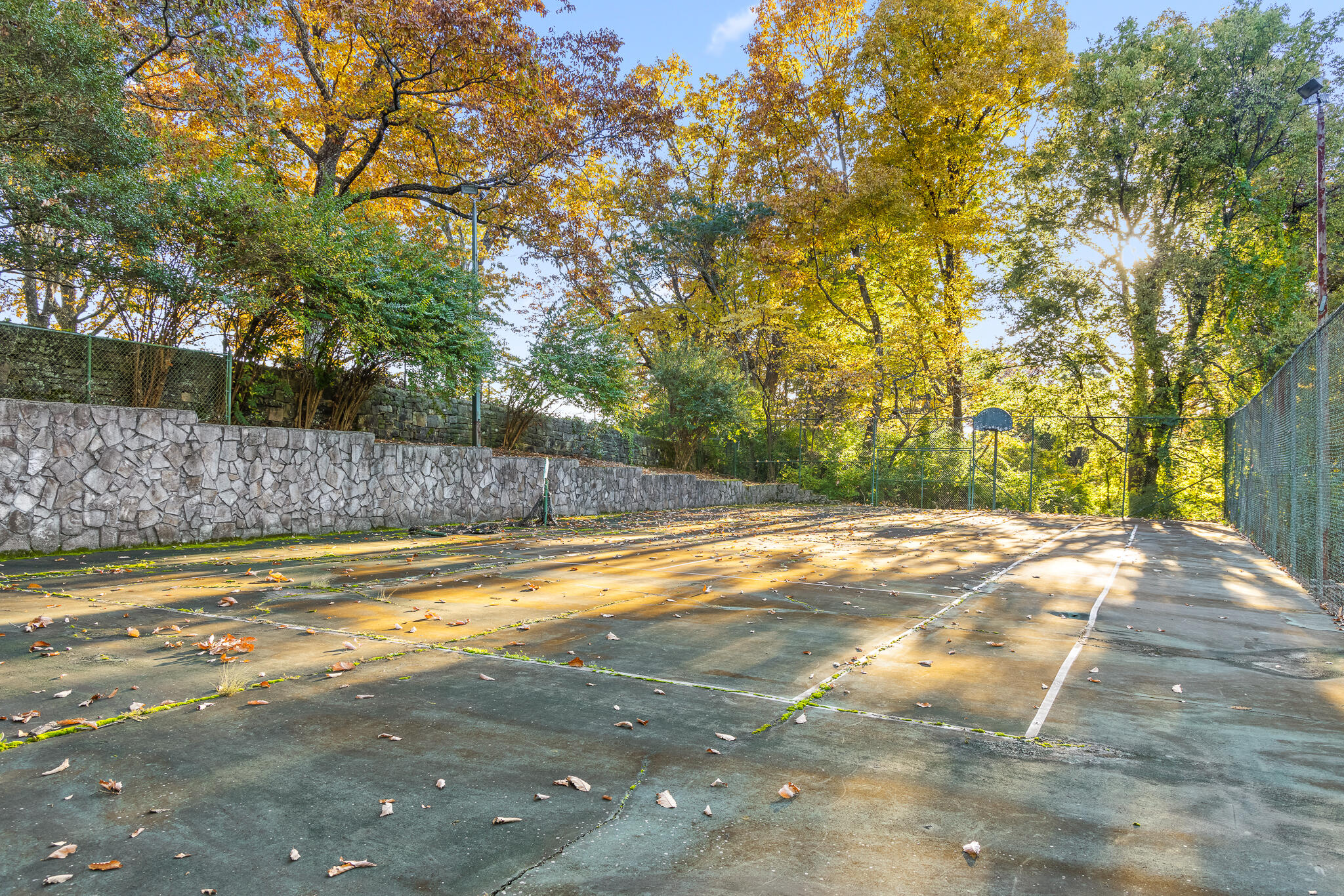 136 Signal Point Road Signal Mountain, TN 37377 - Photo 62 of 64 Tennis Court