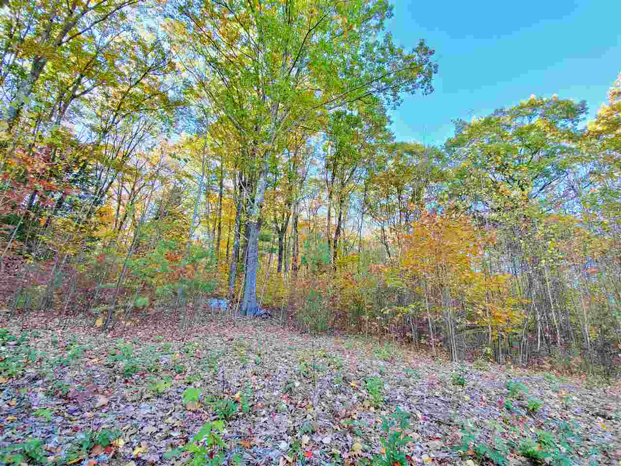1441 Brockway Mills Road Chester, VT 05143 - Photo 3 of 12