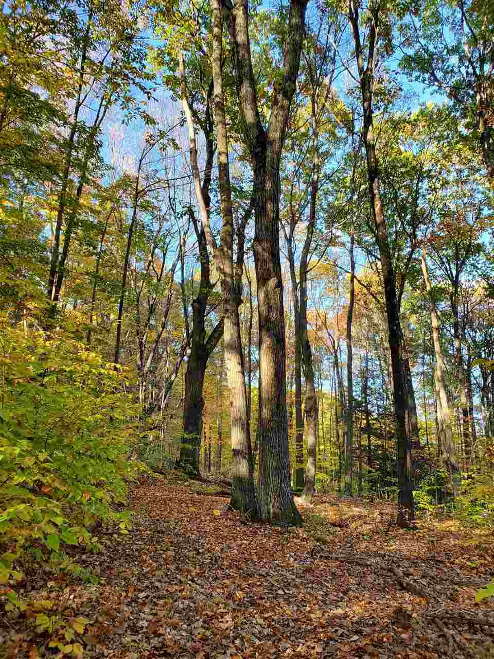 1441 Brockway Mills Road Chester, VT 05143 - Photo 8 of 12