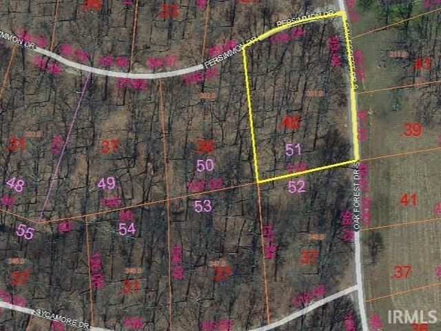 51 South Oak Frst Dr  