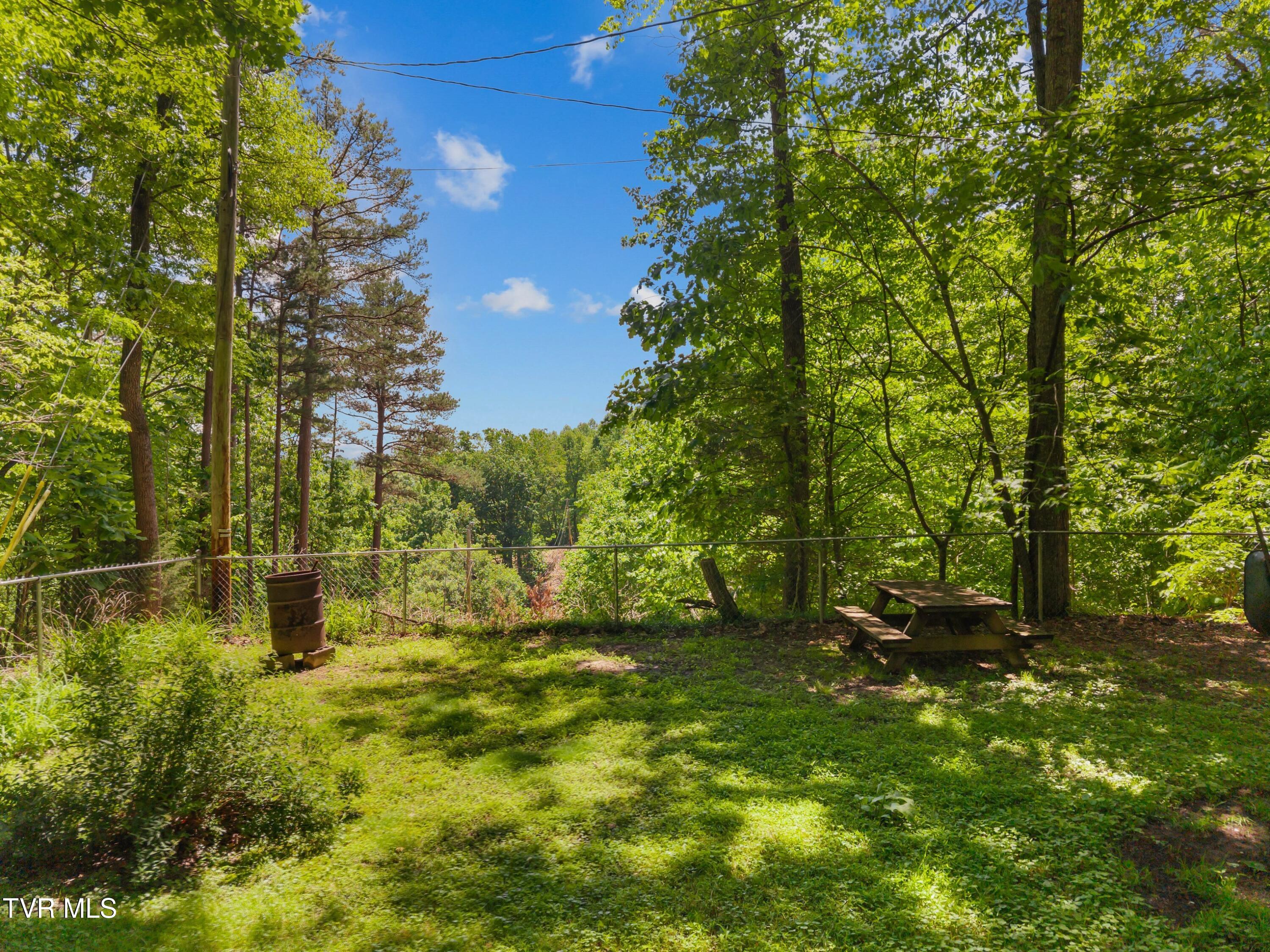 236 Beech Street Sneedville, TN 37869 - Photo 61 of 101 028-236BeechStreet-Sneedville-TN-37869-S